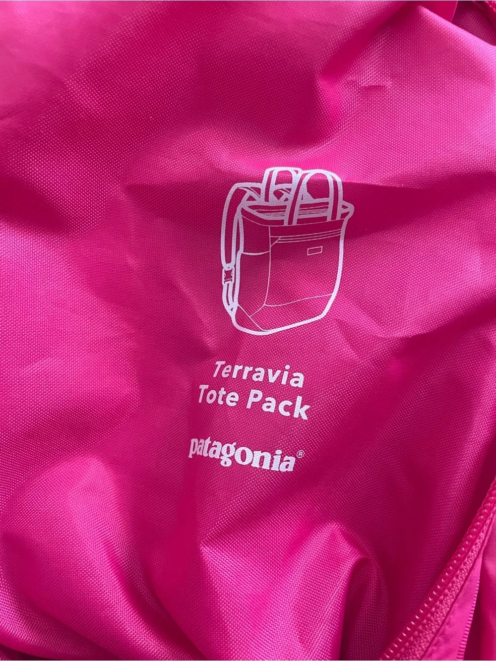 Patagonia Terravia Tote Pack 24L